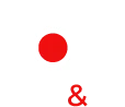 Art & Flash